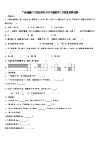 广东省廉江市实验学校2023届数学三下期末调研试题含解析