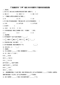 广东省陆丰市“三甲”地区2023年数学三下期末综合测试试题含解析