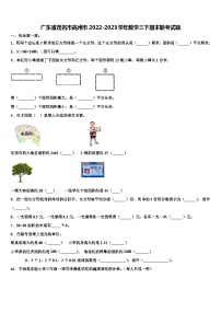 广东省茂名市高州市2022-2023学年数学三下期末联考试题含解析