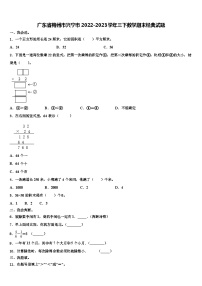 广东省梅州市兴宁市2022-2023学年三下数学期末经典试题含解析