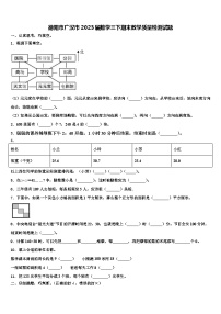 德阳市广汉市2023届数学三下期末教学质量检测试题含解析