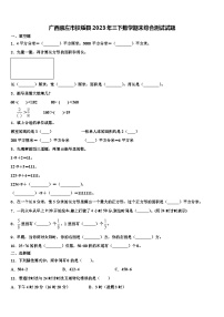 广西崇左市扶绥县2023年三下数学期末综合测试试题含解析