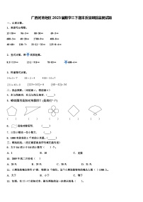 广西河池地区2023届数学三下期末质量跟踪监视试题含解析