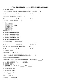 广西壮族百色市田林县2023年数学三下期末统考模拟试题含解析