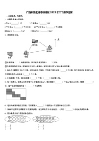 广西壮族北海市银海区2023年三下数学期末含解析