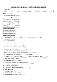 广西壮族河池市南丹县2023年数学三下期末质量检测试题含解析