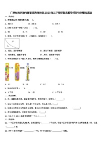 广西壮族河池市都安瑶族自治县2023年三下数学期末教学质量检测模拟试题含解析