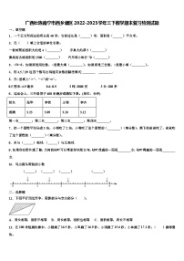 广西壮族南宁市西乡塘区2022-2023学年三下数学期末复习检测试题含解析