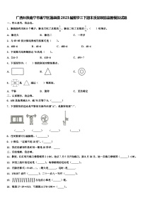 广西壮族南宁市邕宁区蒲庙镇2023届数学三下期末质量跟踪监视模拟试题含解析