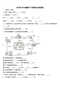 新干县2023届数学三下期末复习检测试题含解析