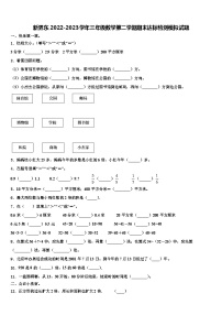 新界东2022-2023学年三年级数学第二学期期末达标检测模拟试题含解析