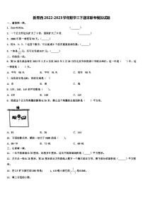 新界西2022-2023学年数学三下期末联考模拟试题含解析