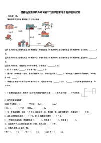 昌都地区边坝县2023届三下数学期末综合测试模拟试题含解析