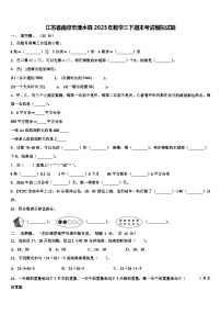 江苏省南京市溧水县2023年数学三下期末考试模拟试题含解析