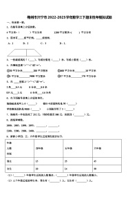 梅州市兴宁市2022-2023学年数学三下期末统考模拟试题含解析