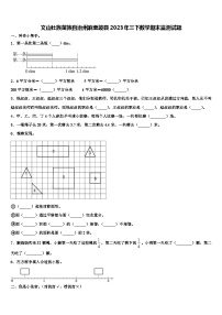 文山壮族苗族自治州麻栗坡县2023年三下数学期末监测试题含解析