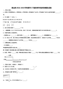 微山县2022-2023学年数学三下期末教学质量检测模拟试题含解析