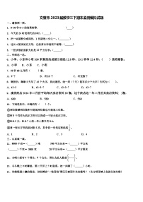 文登市2023届数学三下期末监测模拟试题含解析