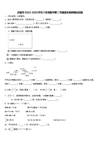 武威市2022-2023学年三年级数学第二学期期末调研模拟试题含解析