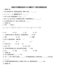 武威市天祝藏族自治县2023届数学三下期末经典模拟试题含解析