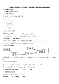 新疆第一师阿拉尔市2023年三下数学期末学业质量监测模拟试题含解析