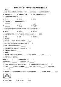 新蔡县2023届三下数学期末学业水平测试模拟试题含解析