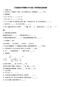 江苏省宿迁市泗阳县2023届三下数学期末监测试题含解析