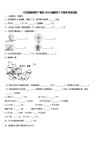 江苏省扬州市广陵区2023届数学三下期末考试试题含解析