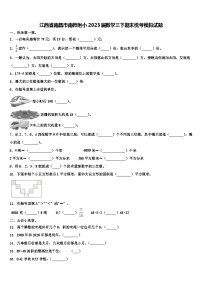 江西省南昌市南师附小2023届数学三下期末统考模拟试题含解析