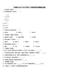 沙湾县2022-2023学年三下数学期末经典模拟试题含解析