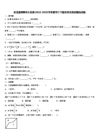 河北省邯郸市大名县2022-2023学年数学三下期末综合测试模拟试题含解析