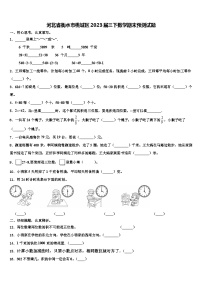 河北省衡水市桃城区2023届三下数学期末预测试题含解析