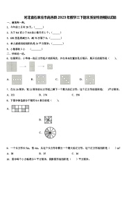 河北省石家庄市高邑县2023年数学三下期末质量检测模拟试题含解析