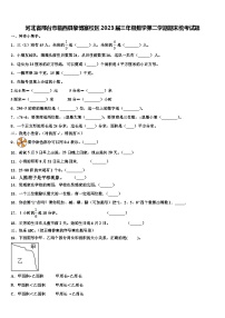 河北省邢台市临西县黎博寨校区2023届三年级数学第二学期期末统考试题含解析