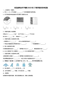 河北省邢台市宁晋县2023年三下数学期末统考试题含解析