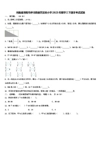 河南省洛阳市伊川县德艺实验小学2023年数学三下期末考试试题含解析