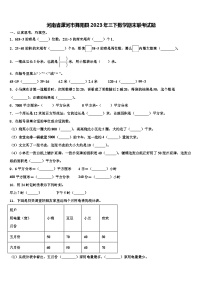 河南省漯河市舞阳县2023年三下数学期末联考试题含解析