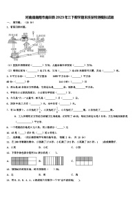 河南省南阳市南召县2023年三下数学期末质量检测模拟试题含解析