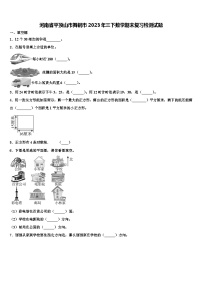 河南省平顶山市舞钢市2023年三下数学期末复习检测试题含解析