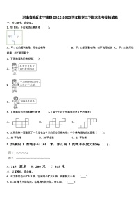 河南省商丘市宁陵县2022-2023学年数学三下期末统考模拟试题含解析