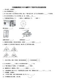 江西省赣州地区2023届数学三下期末学业质量监测试题含解析