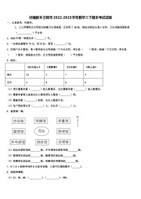 河南新乡卫辉市2022-2023学年数学三下期末考试试题含解析