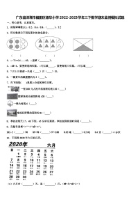 广东省深圳市福田区耀华小学2022-2023学年三下数学期末监测模拟试题含解析