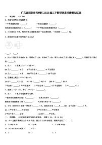 广东省深圳市光明区2023届三下数学期末经典模拟试题含解析