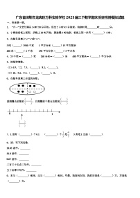 广东省深圳市龙岗区万科实验学校2023届三下数学期末质量检测模拟试题含解析