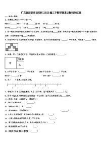 广东省深圳市龙华区2023届三下数学期末达标检测试题含解析