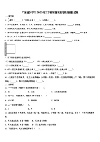 广东省兴宁市2023年三下数学期末复习检测模拟试题含解析