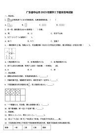 广东省中山市2023年数学三下期末统考试题含解析