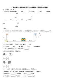 广东省湛江市雷阳实验学校2023届数学三下期末统考试题含解析