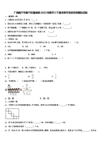 广西南宁市邕宁区蒲庙镇2023年数学三下期末教学质量检测模拟试题含解析